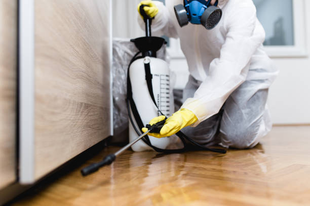Best Pest Control for Restaurants  in Evart, MI