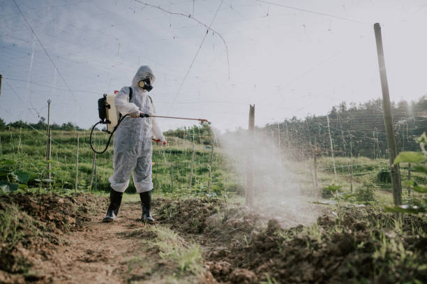 Best Affordable Pest Control Services  in Evart, MI