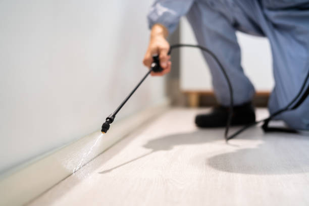 Best Mosquito Control Services  in Evart, MI