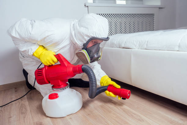 Best Bed Bug Extermination  in Evart, MI