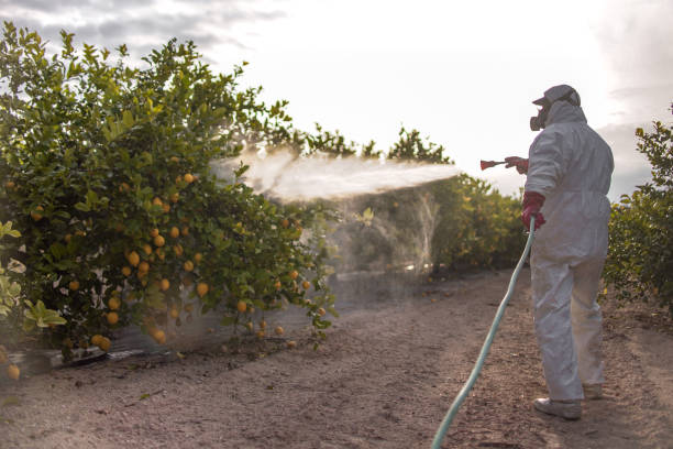 Best Exterminator Services  in Evart, MI