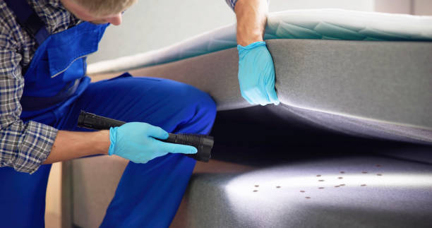 Best Local Pest Control Services  in Evart, MI