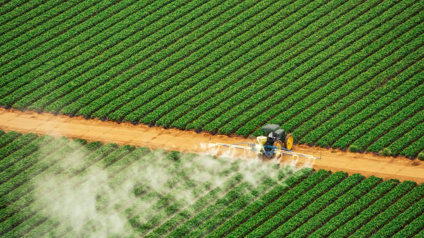 Reliable Evart, MI Pest Control Solutions
