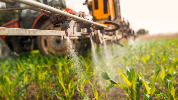 Best Pest Prevention Services  in Evart, MI